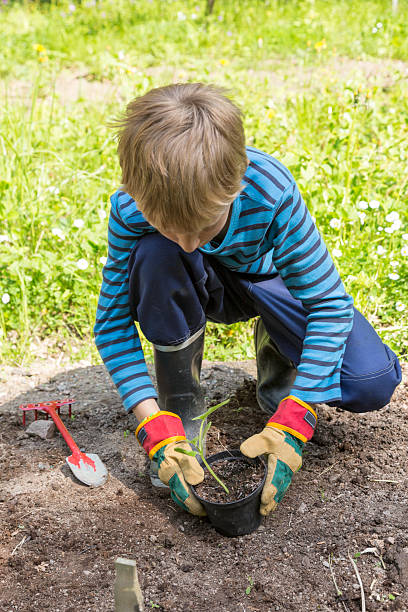 istock Little boys planting cucumber. 180842120