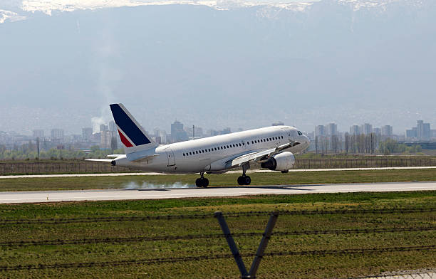 istock Commercial Airplane landing 180842819