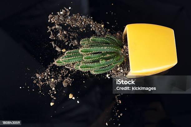 Spilled Cactus Flower Pot Stockfoto und mehr Bilder von Blumentopf - Blumentopf, Funktionsuntüchtig, Abgestorbene Pflanze