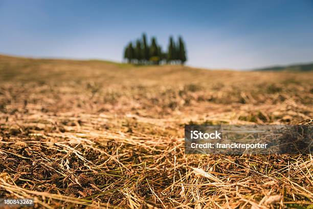 Paisagem Toscana Val Dorcia - Fotografias de stock e mais imagens de Agricultura - Agricultura, Ajardinado, Ao Ar Livre