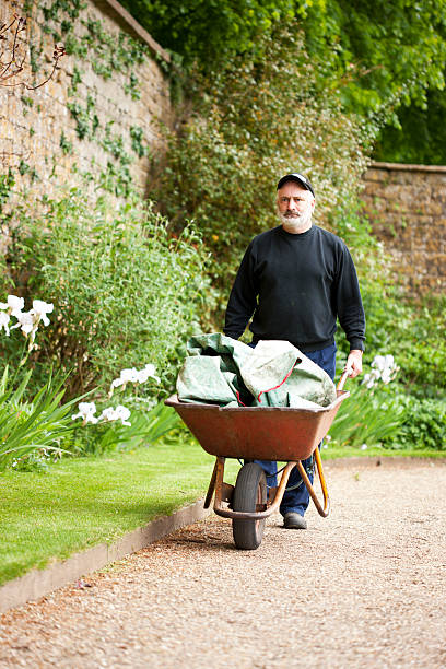 groundsman raccogliere i rifiuti - mansion uk gravel summer foto e immagini stock