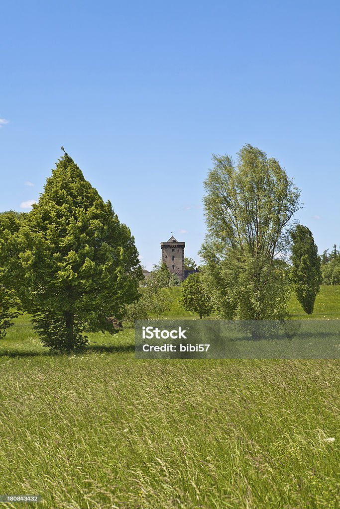 Torre medievale-vista del Reno meadows - Foto stock royalty-free di Ambientazione esterna