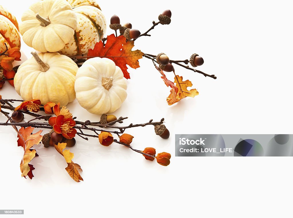 가을맞이 Gourds 및 휴가 - 로열티 프리 가을 스톡 사진