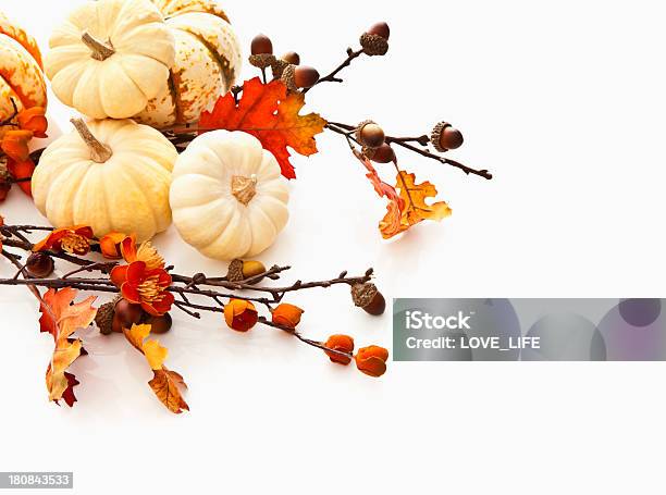 가을맞이 Gourds 및 휴가 가을에 대한 스톡 사진 및 기타 이미지 - 가을, 작물, 0명
