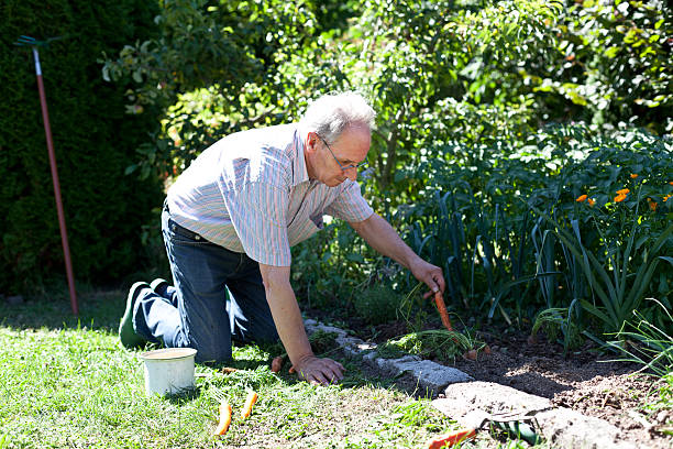 istock Old man being proud of his harvest 180843619