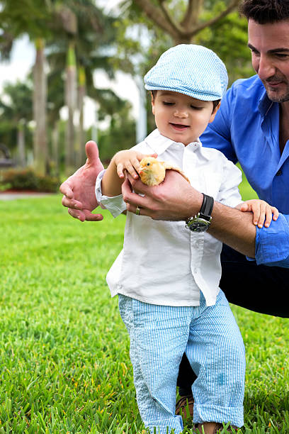 heureux jeune garçon portant un bonnet de l'automne et interactif oiseau - baby chicken young bird chicken human hand photos et images de collection