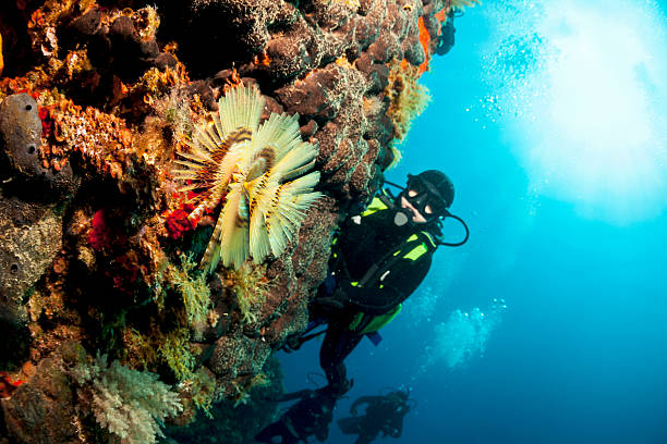 istock Scuba Diver  And Coral Reef 180843777