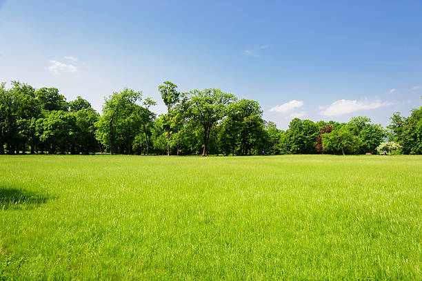 tipico paesaggio austriaco - grass and blue sky foto e immagini stock