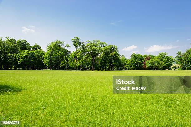 Typowy Krajobraz Austrii - zdjęcia stockowe i więcej obrazów Drzewo - Drzewo, Niebo - Zjawisko naturalne, Trawa