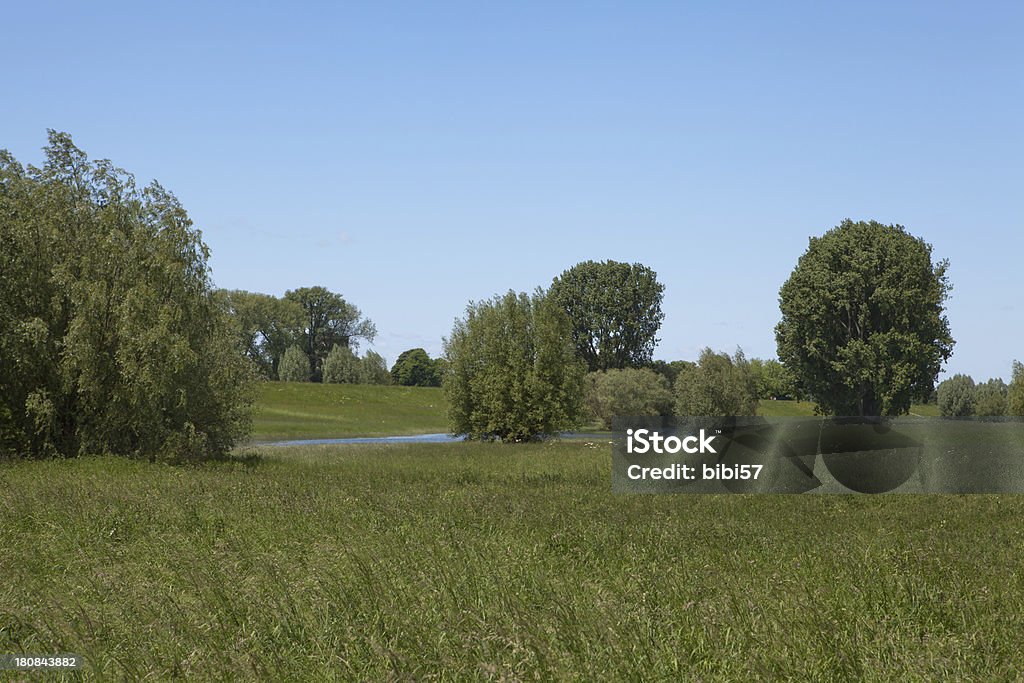 Stagno il meadows - Foto stock royalty-free di Acqua stagnante