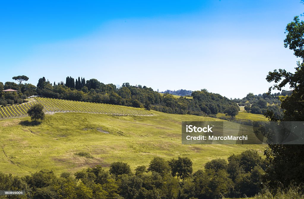 Paysage en Toscane - Photo de Agriculture libre de droits