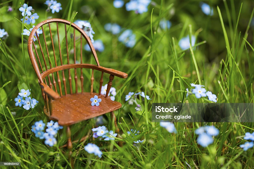 ウィンザー椅子で草 - おとぎ話のロイヤリティフリーストックフォト