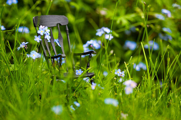 Peaceful concept of a rocking chair amidst Forget Me Nots