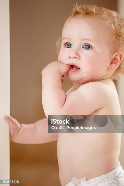 Foto de Tão Curioso Sobre O Mundo e mais fotos de stock de 12-23 meses - 12-23 meses, Aprender, Bebê