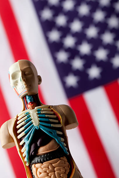istock USA healthcare concept 180846238