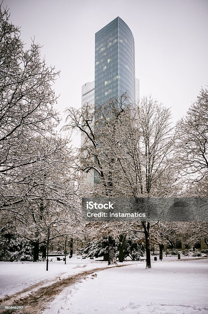 Zima w parku – Frankfurt nad Menem - Zbiór zdjęć royalty-free (Frankfurt nad Menem)