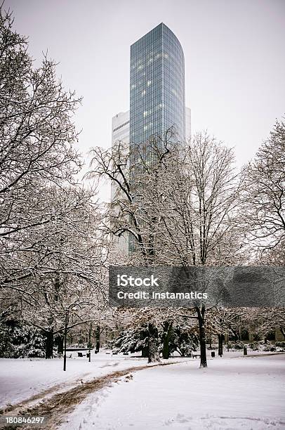 Zima W Parku Frankfurt Nad Menem - zdjęcia stockowe i więcej obrazów Frankfurt nad Menem - Frankfurt nad Menem, Zima, Architektura