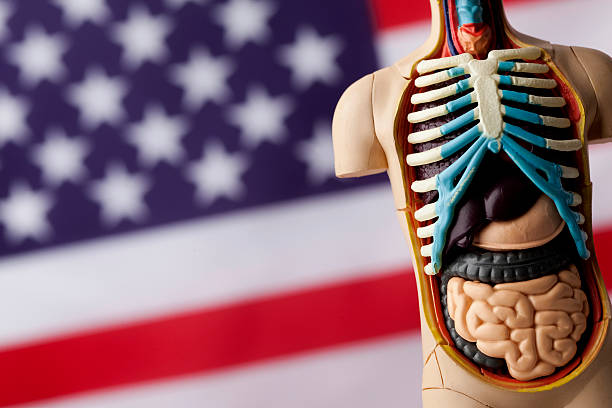 istock USA healthcare concept 180846467