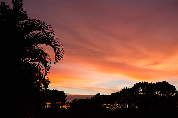 istock Color Image of Beautiful Tropical Sunset 180846475