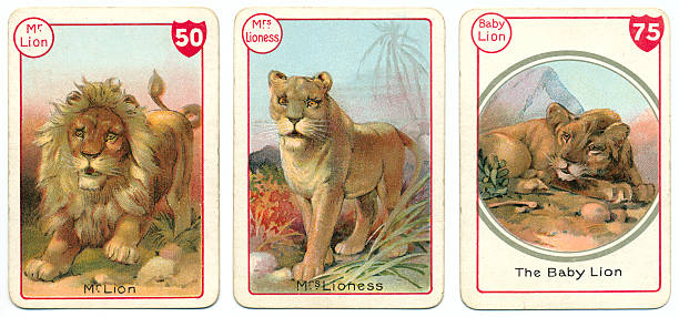 istock Three lion playing cards Victorian animal families game 180846609