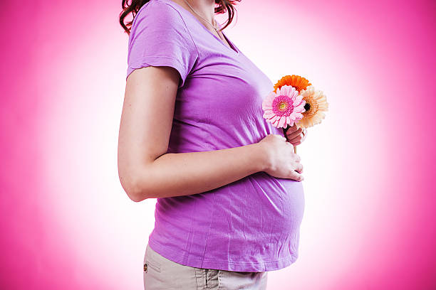 妊娠美しい女性 - flower sparse single flower gerbera daisy ストックフォトと画像