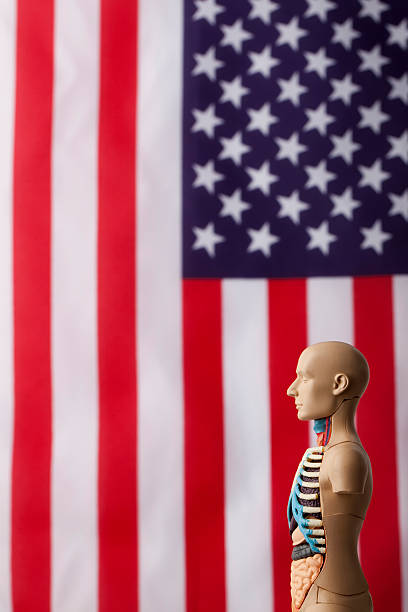 istock USA healthcare concept 180847184