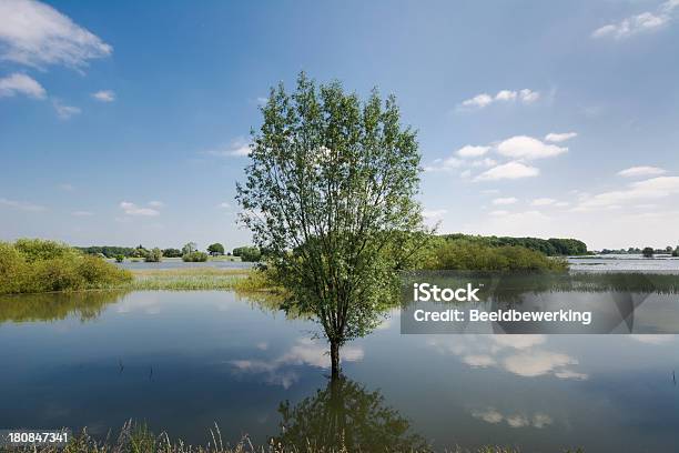 Entra Y Espejo Foto de stock y más banco de imágenes de Agua - Agua, Aire libre, Ajardinado