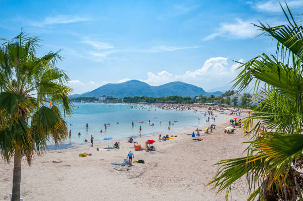 Beach of Alcudia, Majorca "The beach of Alcudia at island of Majorca, Spain." bay of alcudia stock pictures, royalty-free photos & images