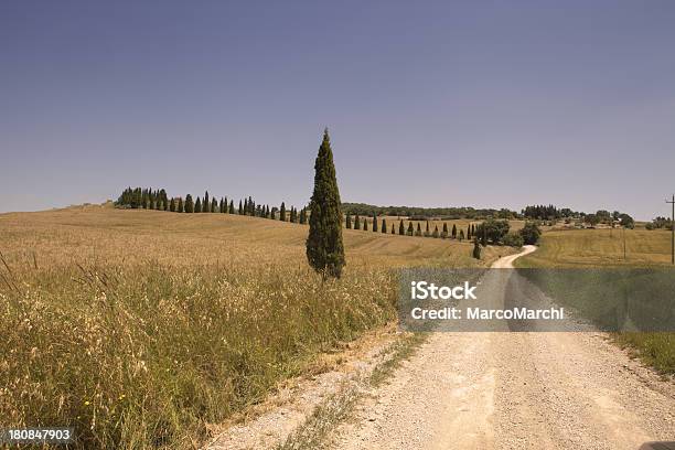 Paisaje De Toscana Foto de stock y más banco de imágenes de Agricultura - Agricultura, Aire libre, Ajardinado