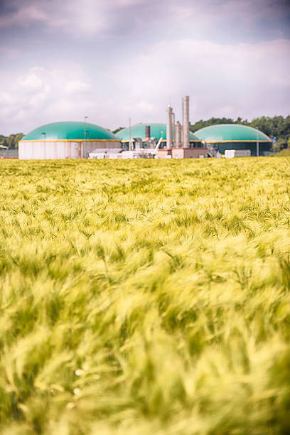 usina de energia com biomassa por um campo de trigo energiewende biogás - nachhaltig - fotografias e filmes do acervo