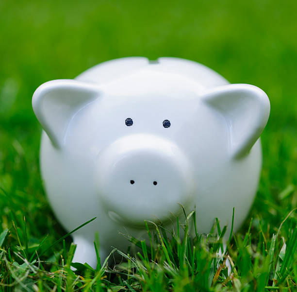 istock piggy bank in grass 180848030