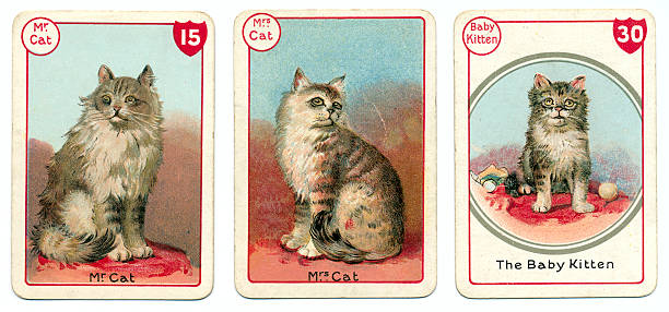 istock Three cat cards Victorian animal families game 180848163