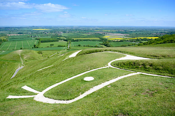 Uffington White Horse "White Horse Hill, Uffington. This prehistoric chalk white horse is oldest of several in the English countryside said to be 3000 years old. Here the head is in the foreground with Dragon Hill and the Vale of the White Horse in the background." uffington horse stock pictures, royalty-free photos & images