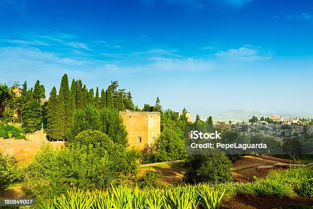 Splendida Vista Dallalhambra A Granada - Fotografie stock e altre immagini di Albaicín - Albaicín, Alhambra - Granada, Ambientazione esterna