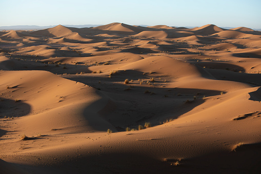 Landscape with dunes in the Sahara desert in Morocco