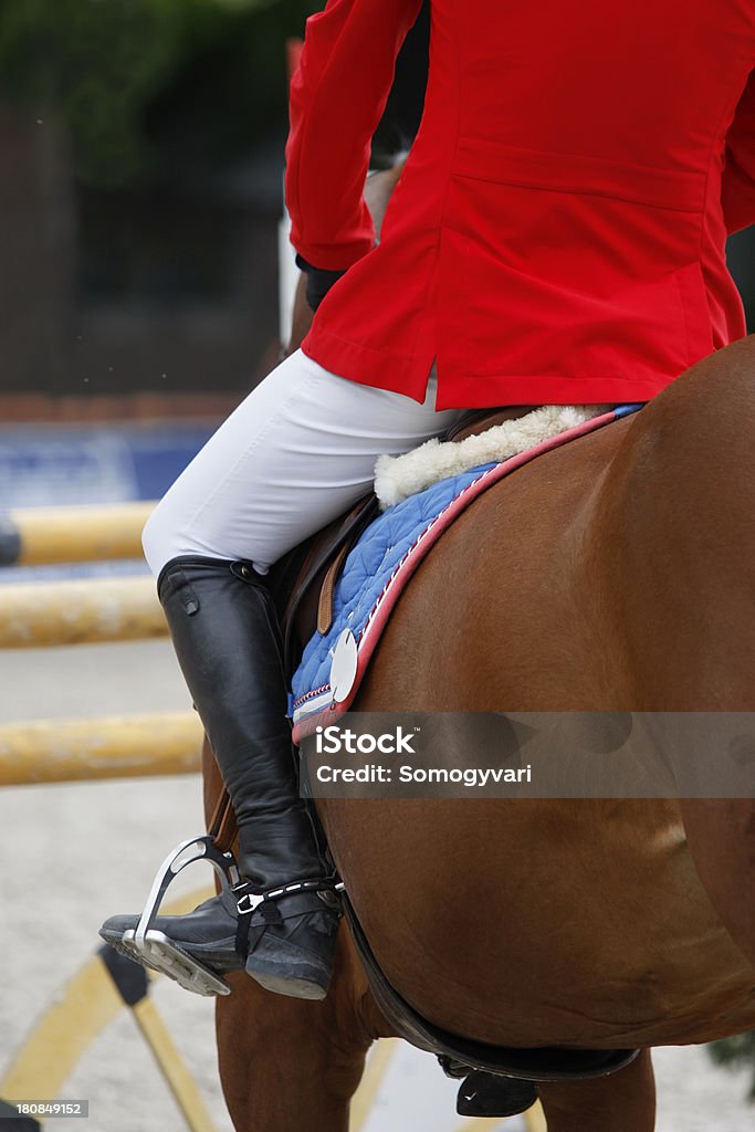 Passeio a cavalo - Foto de stock de Concurso de Saltos Equestres royalty-free