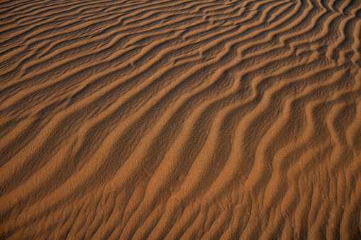 Ripples in the sand formed by wind in the Sahara desert in Morocco, morning light
