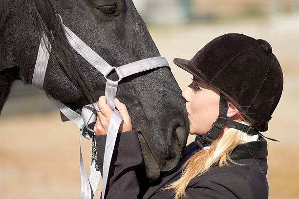 istock There's a strong bond between horse and rider 180849430