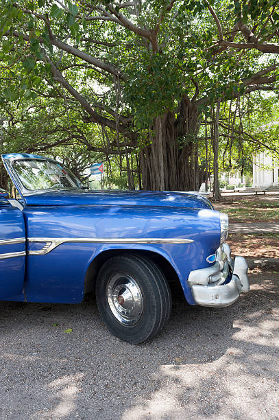 istock old american car in Havana, Cuba, parked under a tree 180849843