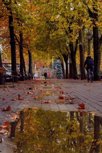 Overcast Pamplona walk: hues of fall, rain-kissed leaves, tranquil reflections in puddles.