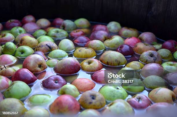 Jabłka - zdjęcia stockowe i więcej obrazów Most - Czechy - Most - Czechy, Cydr, Cysterna - Urządzenie przemysłowe