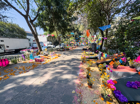 Day of the Dead Altars set up in the pedestrian walkway along commercial street Álvaro Obregón Avenue, in Roma neighborhood, Mexico City,