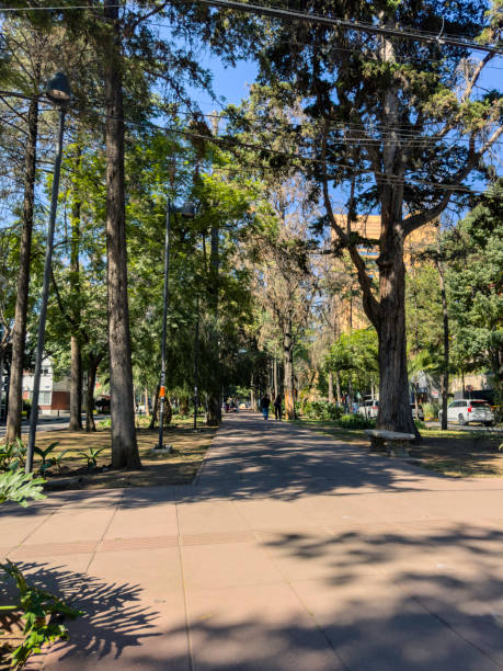 istock Footpath along main Avenue in Mexico City 1808600459