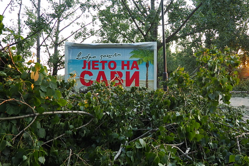 Aftermath of the hurricane July 20, 2023 beach Sremska Mitrovica, Serbia. Broken trees, mess on the street. Broken branches, bent trunks. Chips and trash. State of emergency after a catastrophic storm