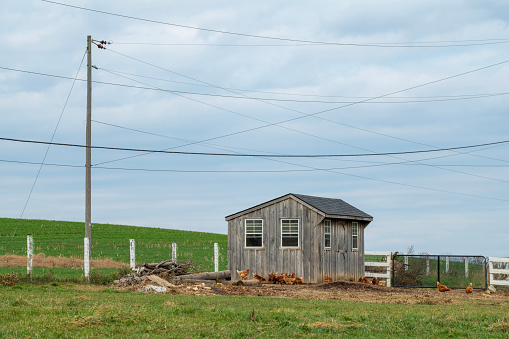 Chicken house at an Amish farm in Lancaster, Pennsylvania, USA