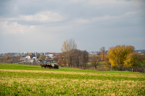 Autumn scenery of Amish farm in Lancaster, Pennsylvania, USA