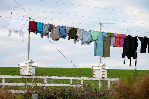 Clothesline with clothes in the country with bird on post