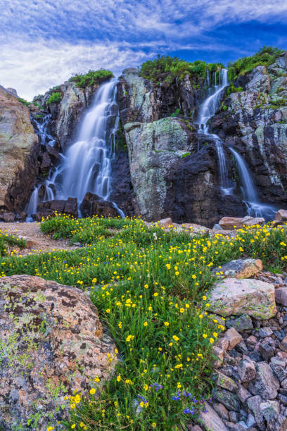istock Timberline Cascade of Water and WIldflowers 1808620974