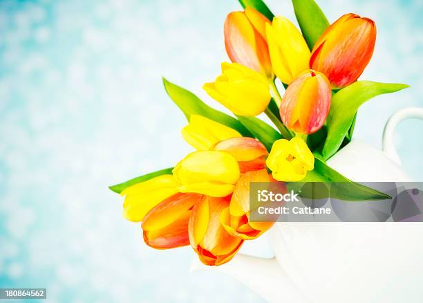 Fresh Tulip Bouquet In Teapot Stock Photo - Download Image Now - Beauty In Nature, Blue Background, Bouquet