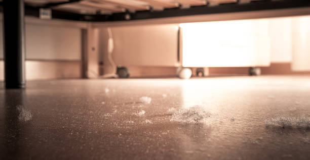 Dust and dirt on a wooden parquet floor stock photo